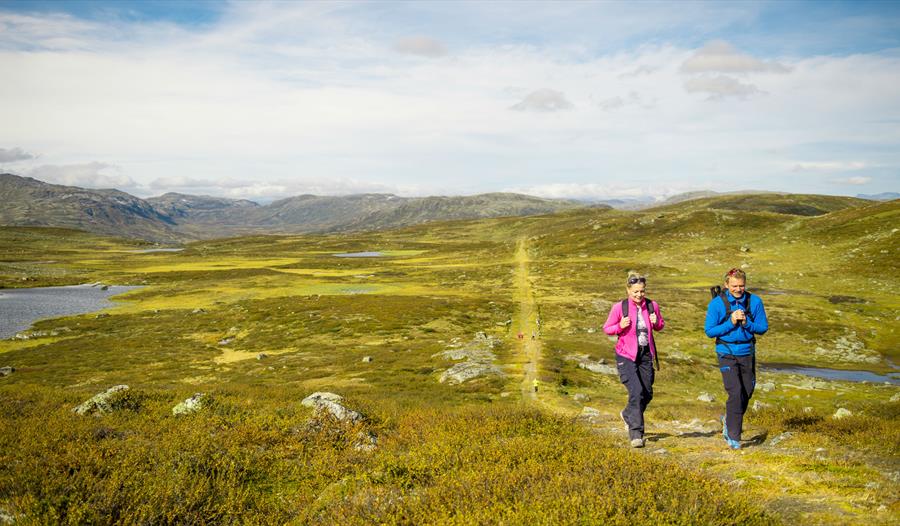 Kongevegen Fjellpasset - 3 dagar