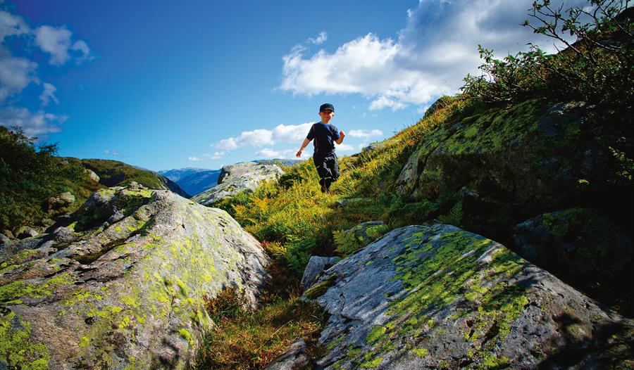 Bergefjellet, Høyanger