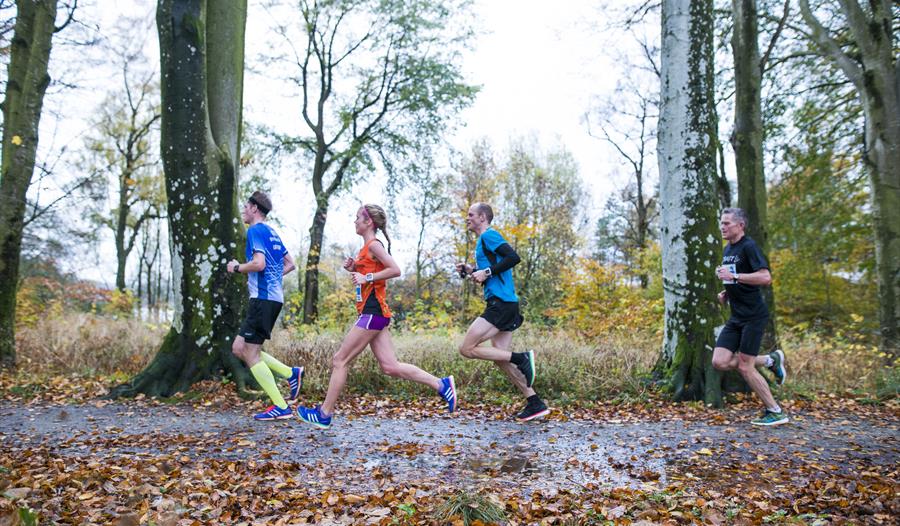 Group of people running in a race surrounded by autumn leaves and trees.