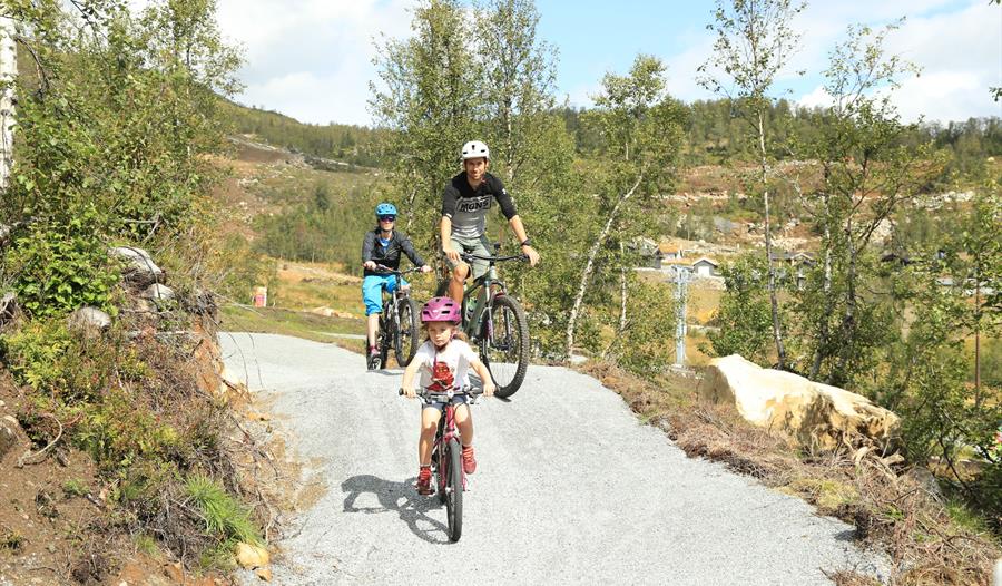 Saltdalshytta Sykkelpark, Sogndal
