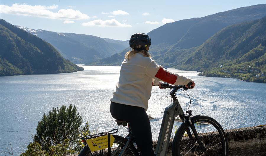 Elsykkeltur over Osterøy med lunsj og RIB-båt til Bergen