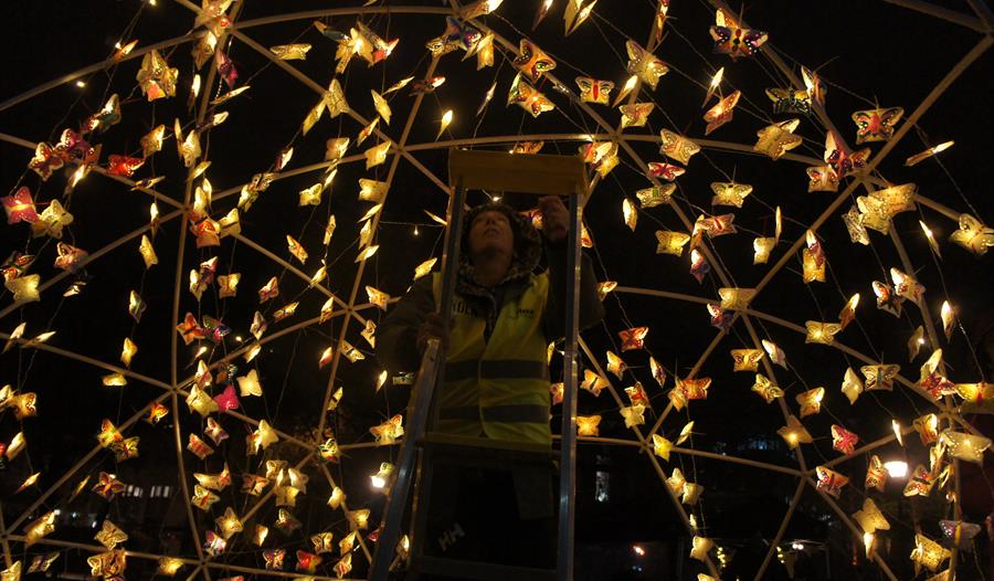 Fra "LUX Animalia", kunstpilotene, Lysfestivalen Bergen Lights, Bergen 950, Byparken, 2020.
