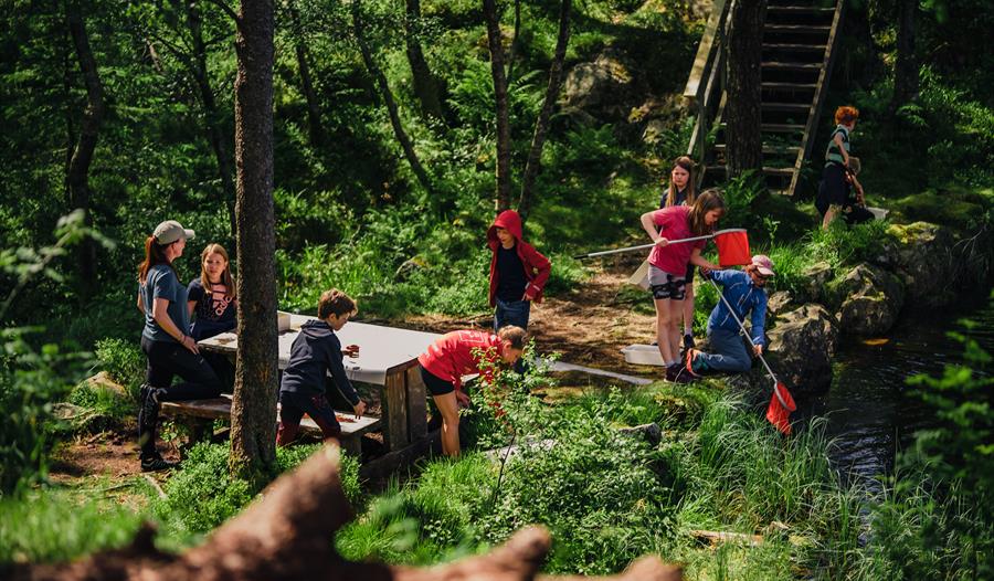 Sommercamp