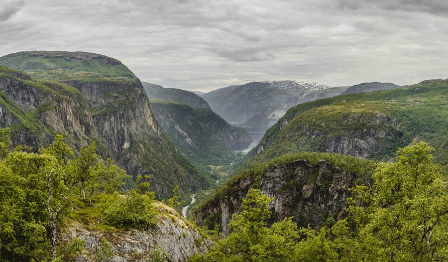 Foto fra Hjølmaberget med utsikt over Hjølmadalen ned mot fjorden.