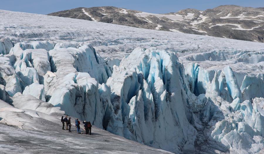 Glacier Half Day, Austdalsbreen