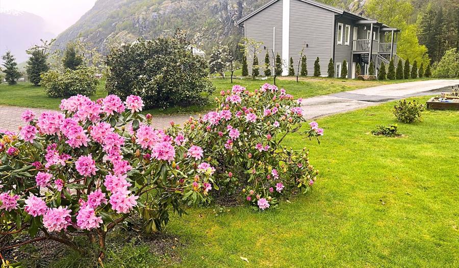 Skaimsberg Apartments, Aurland