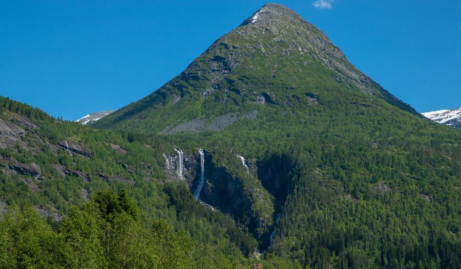 Myrhønna