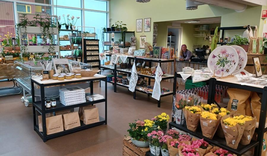 Sogn Jord- og Hagebruksskule