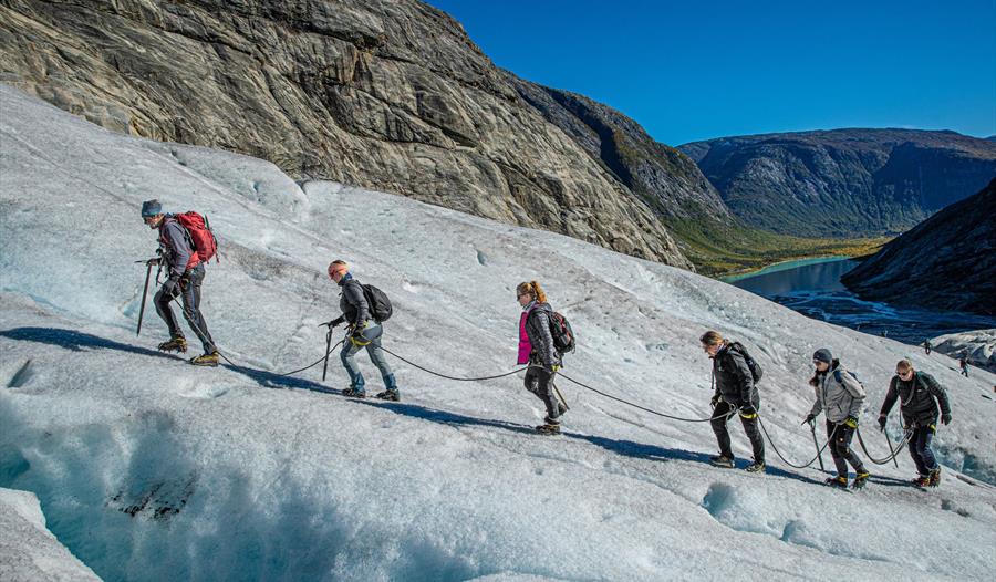 Nigardsbreen