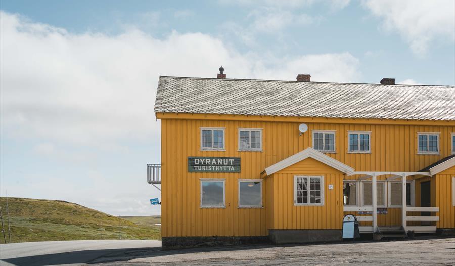 Den gule Dyranut Turisthytta, med blå himmel i bakgrunnen.