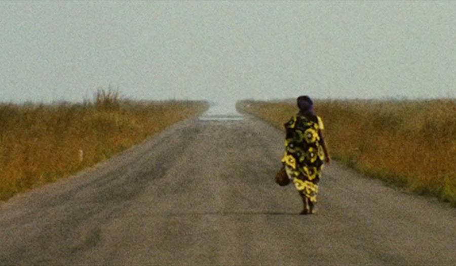 Women Calling the Shots