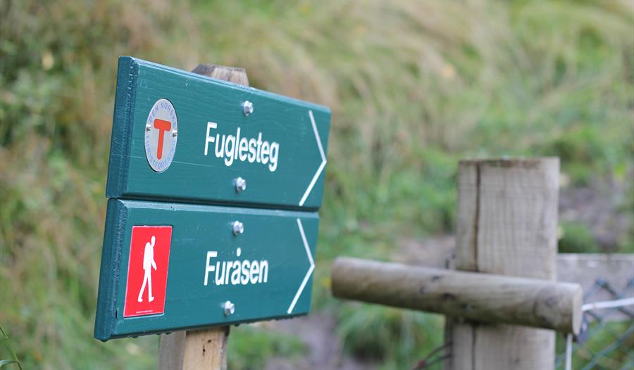 Furåsen, Fortun