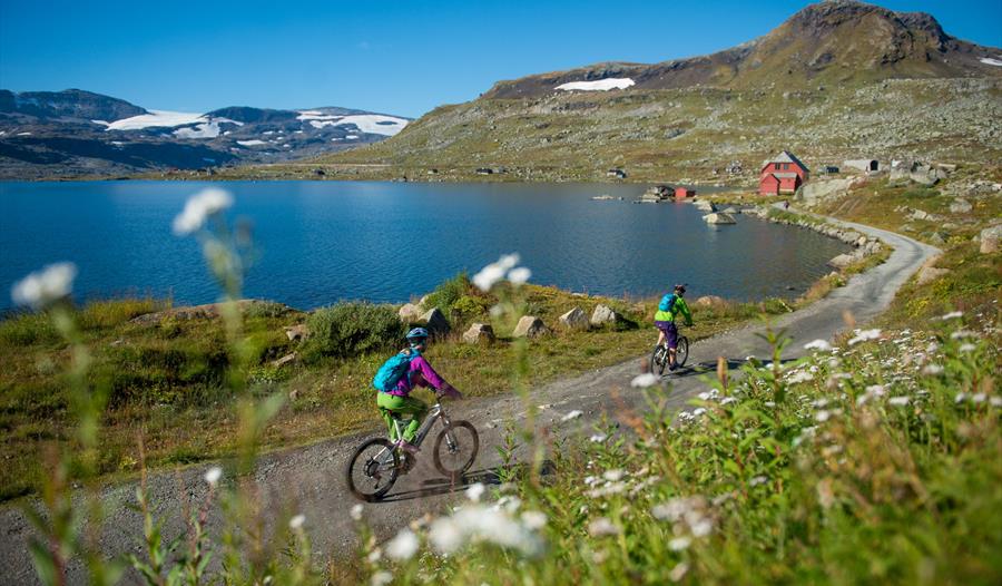 Cafe Rallaren Sykkelutleige