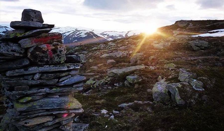 Møyfallsnuten