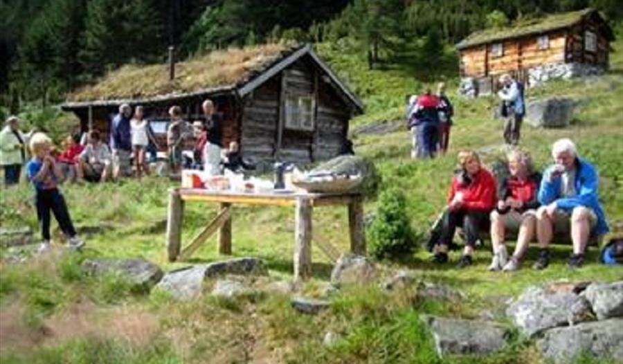 Kinsedal