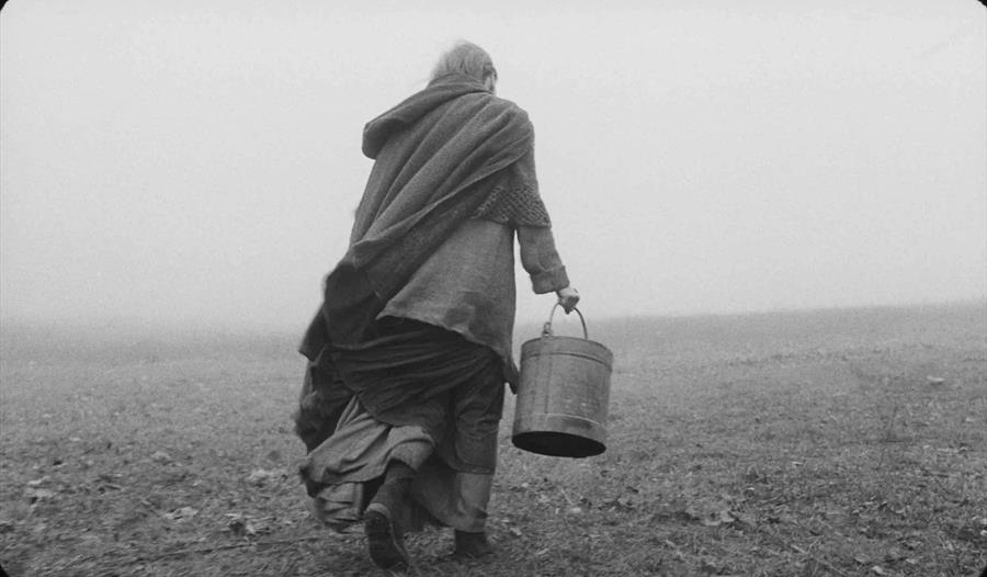 THE TURIN HORSE