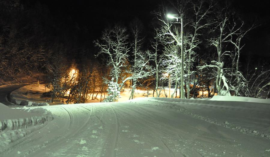 Seimsåsen Skisenter, Årdal