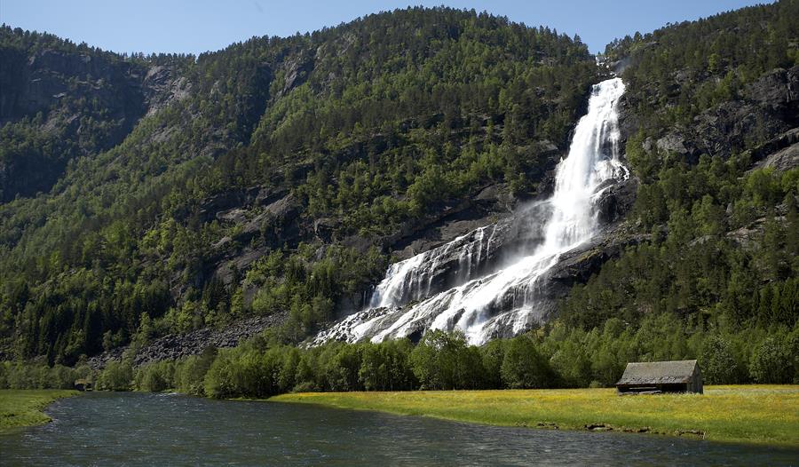 Vidfoss