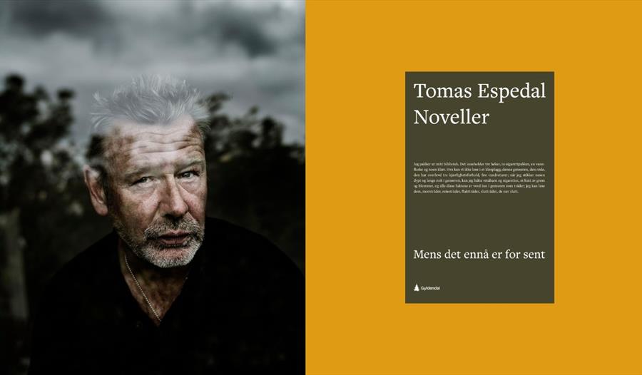 Lesesirkel for samtidslitteratur