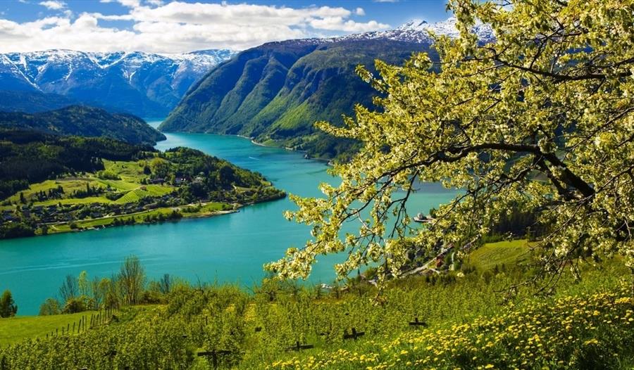 Utsikt over Hardangerfjorden