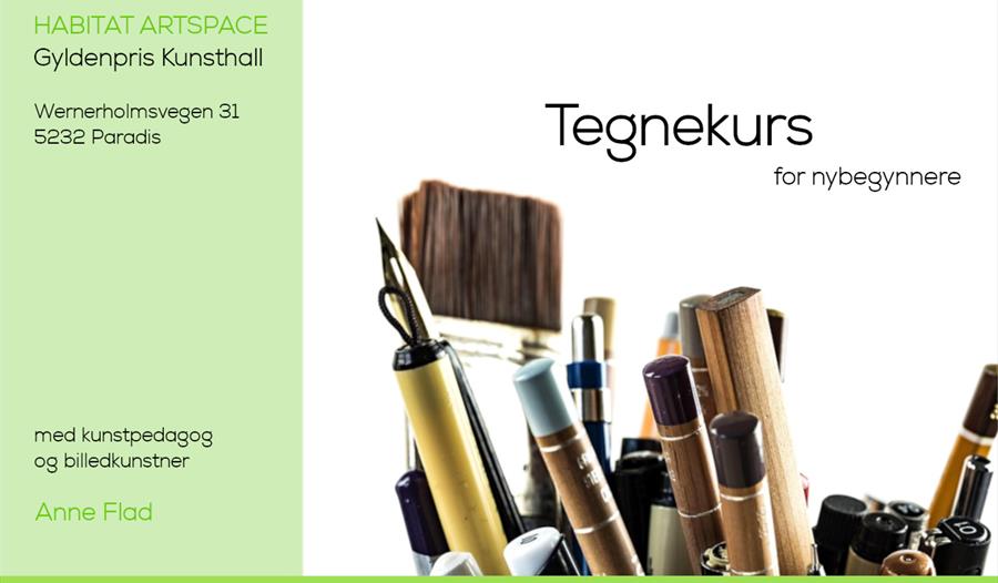 egnekurs for begynnere (voksne) | på norsk
