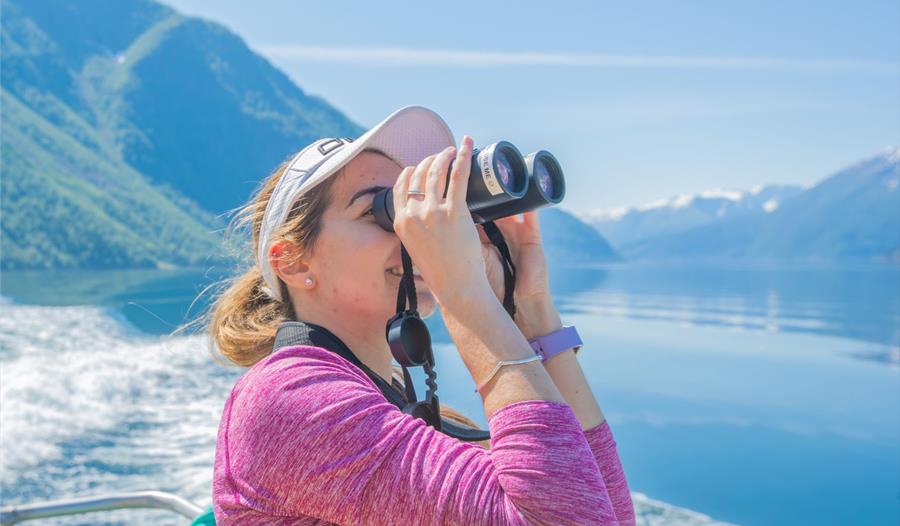 Glaciertour Fjord Cruise