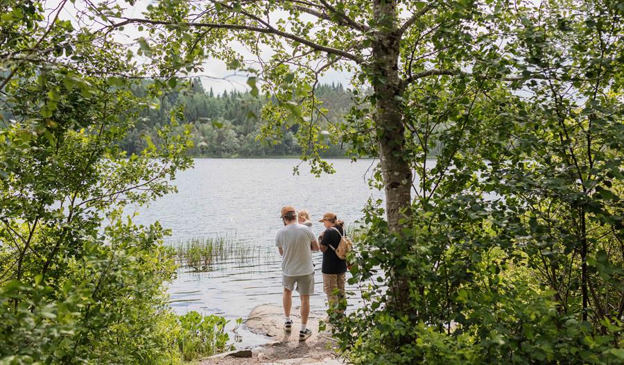 Eit par med eit lite barn ser utover Gullfiskvatnet i Hardanger, omringa av frodig vegetasjon og ein vakker innsjø.