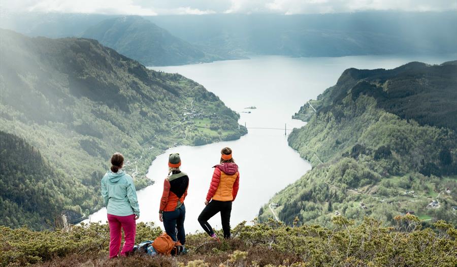 View of the Hardangerfjord