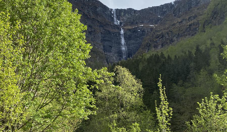 Ei lita hytte i elvedalen
