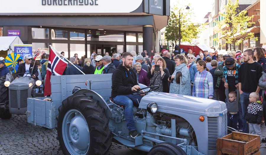 Flotte, gamle traktorer