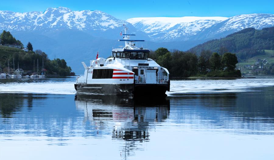 Fjordcruise på Hardangerfjorden