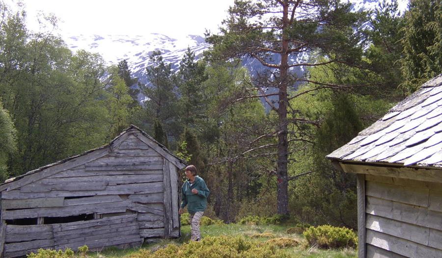 Ved stølen Klepp