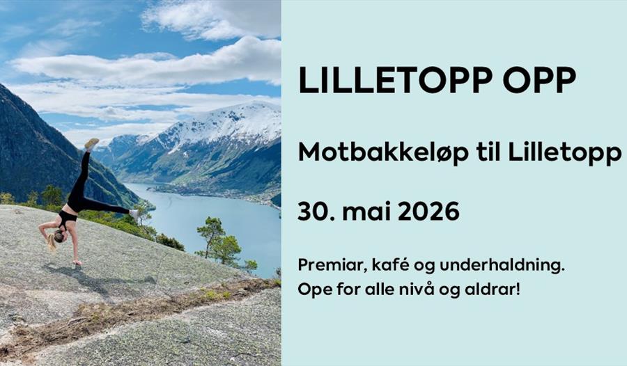 Utsikt frå Lilletopp