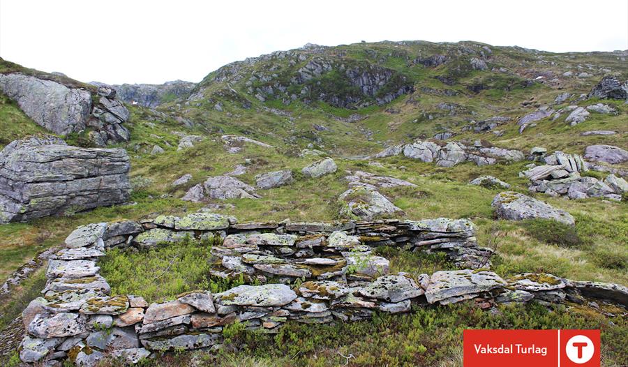 Støler, steinmurer og kultur i Eksingedalen