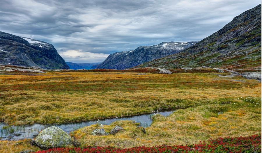 Nørstedalen, Breheimen Nasjonal park
