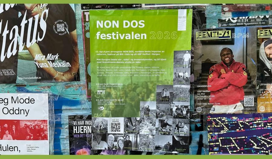 Non Dos festival
