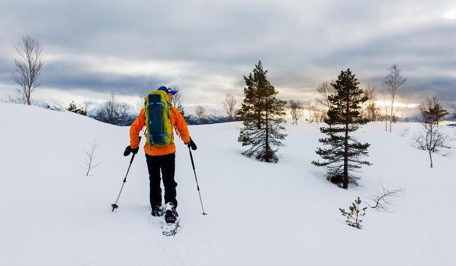 Trugetur med Norway Mountain Guides