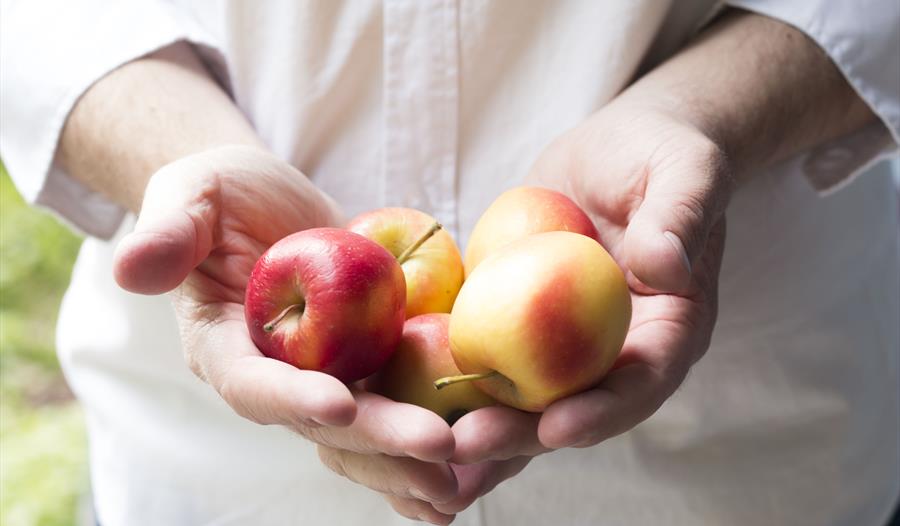 Sidersmaking med Ølakademiet