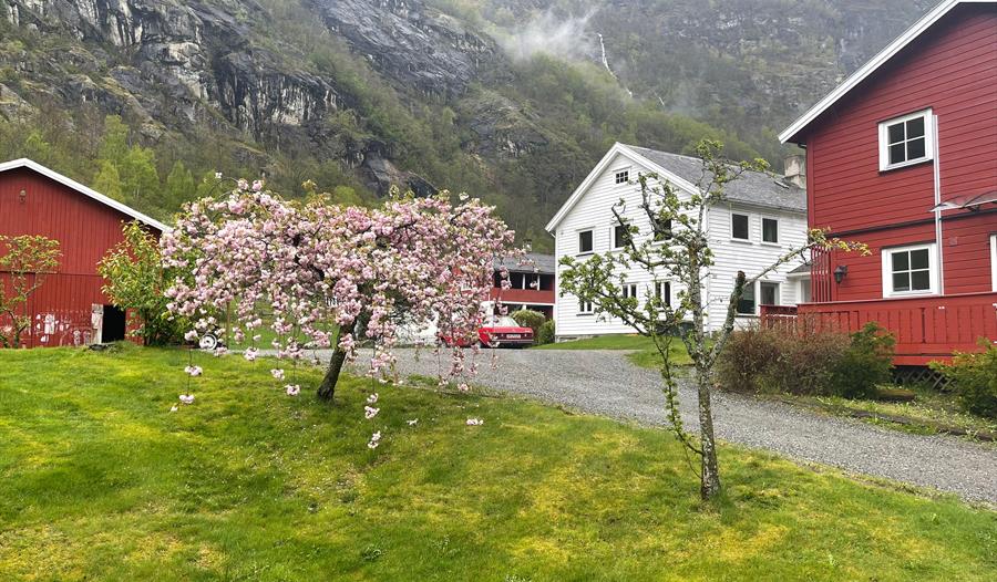 Skahjem Gard, Aurland