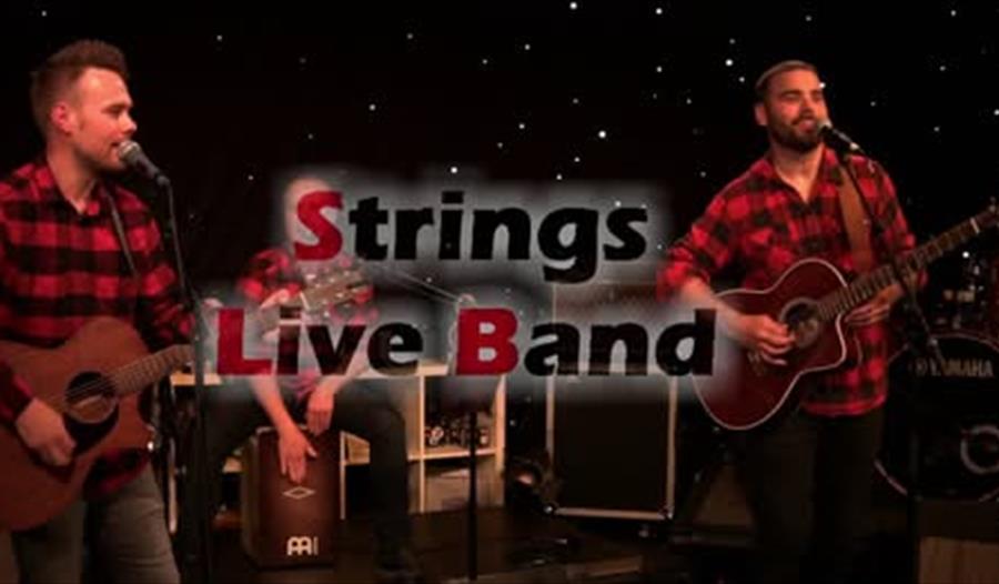 Strings liveband