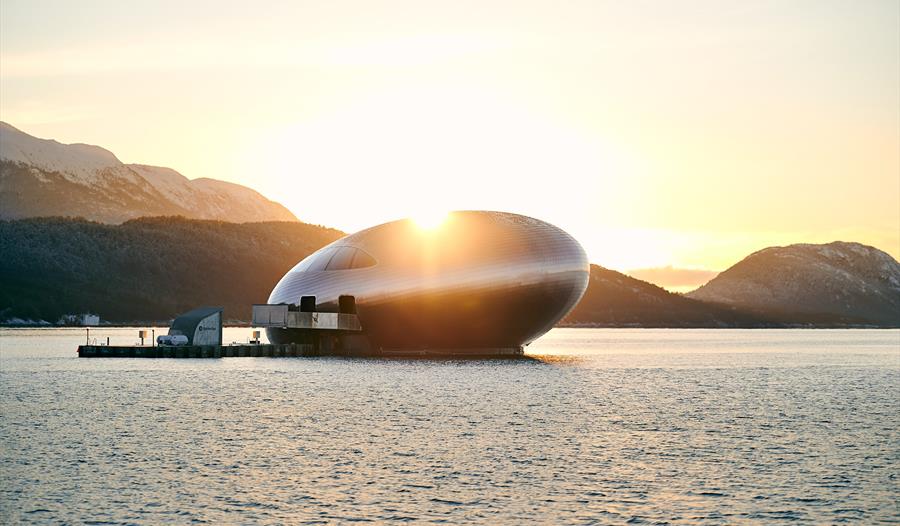 Salmon Eye i solnedgang