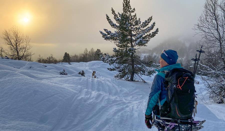 En person på trugetur i vinterlandskap