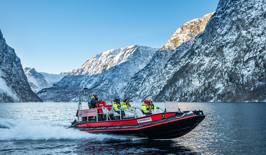 Vinter FjordSafari