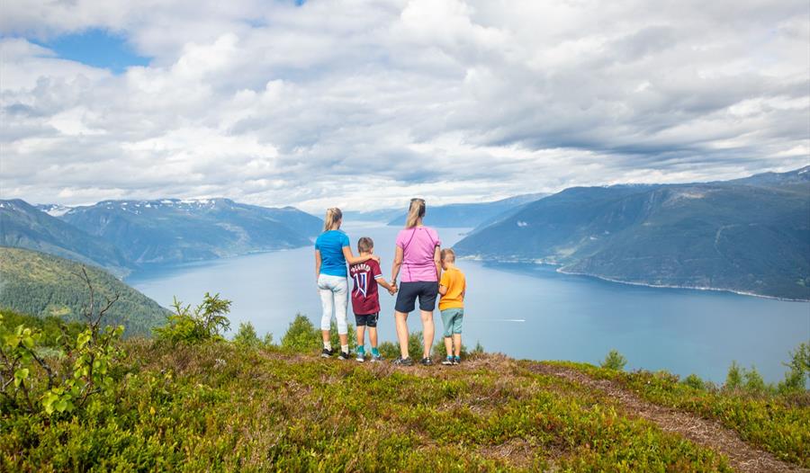Tur til Synshovden, Vik