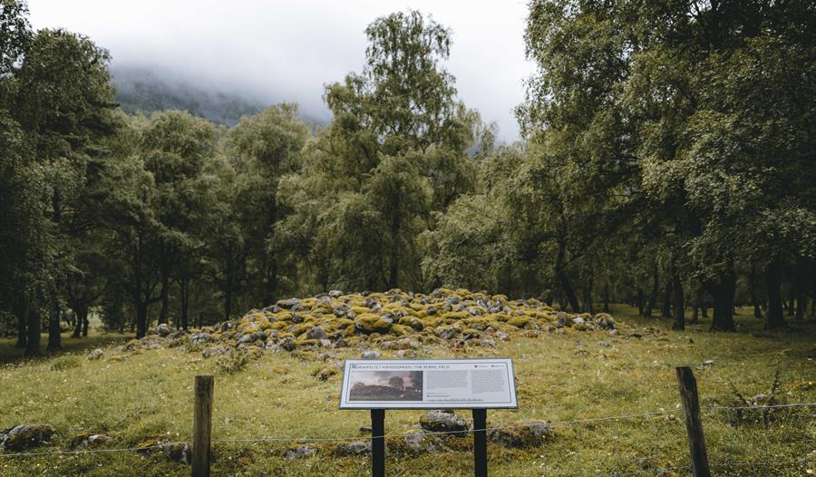 En informasjonstavle foran en vikinggrav.