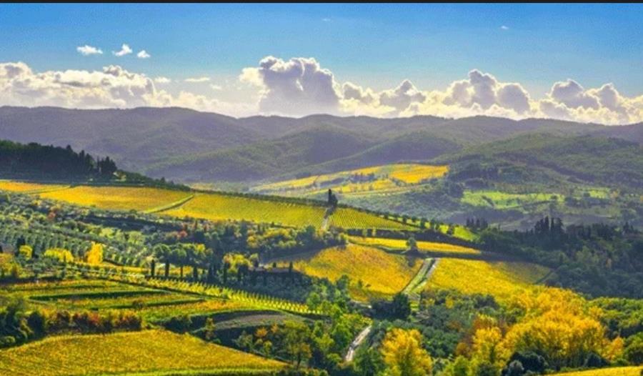 Vinvandring med winemakers dinner