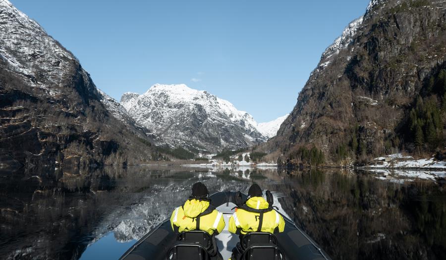Hardangerfjord og Fyksesund Fjordsafari frå Norheimsund