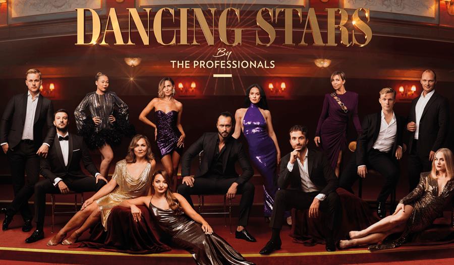 Dancing Stars by The Professionals