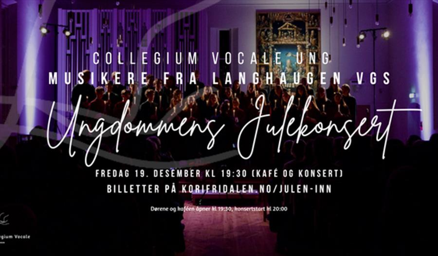 Julekonsert med Collegium Vocale Ung