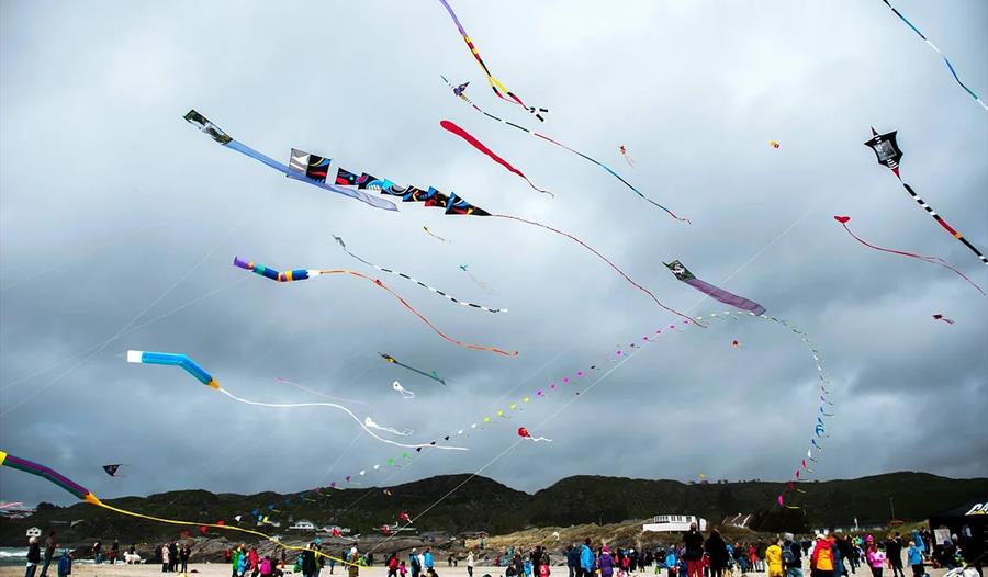 Kites in the air on the beach. Crowds of people